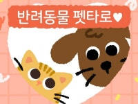 반려동물 펫타로/나의 소중한 아이들의 마음을 알아보세요 - 크몽
