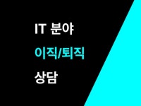 IT분야 - 이직/퇴직 상담 - 크몽