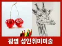 성인 취미 미술 기초 소묘그림 그리기 - 크몽