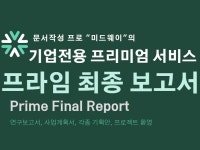 기업전용 프리미엄 문서작성 서비스 프라임최종보고서 - 크몽