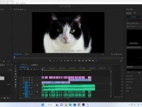 영상편집 및 광고 맞춤 편집자 숏츠도가능 - 크몽