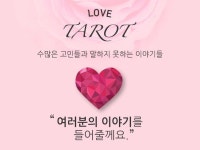현직 타로마스터가 정확하게 리딩해드립니다 - 크몽