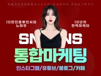 SNS 통합 마케팅 컨설팅 - 크몽