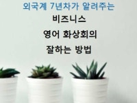 실전에서 비즈니스 영어 화상회의 잘하는 방법 드립니다. - 크몽