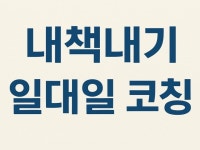 내책내기 일대일코칭 - 크몽