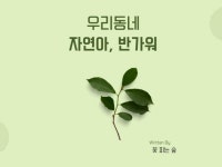 엄마 아빠도 쉽게하는 숲놀이 우리동네 자연아 반가워 - 크몽