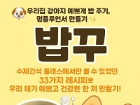 반려동물수제간식, 밥꾸 레시피 - 크몽