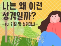 나는 왜 이런 성격일까. TCI 기질및성격검사 - 크몽