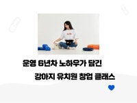 반려견유치원창업에 관한 6년 경력 노하우 +교육까지 - 크몽