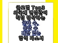 9년차 면접관이 당신의 자소서를 합격으로 바꿉니다 - 크몽