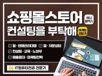 스마트스토어·오픈마켓·쇼핑몰 l 컨설팅상담 월관리대행 - 크몽
