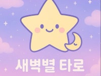 마음을 읽는 타로, 새벽별 타로 - 크몽