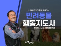 반려동물행동지도사 2급 필기부터 실기까지 한번에 - 크몽