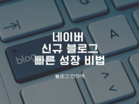 N 블로그 빠른 지수 상승 비법 - 크몽