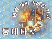 내향적인 타로상담가 - 크몽