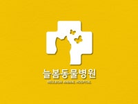로고,로고디자인,로고제작,CI/BI 아이디어 없어도OK - 크몽