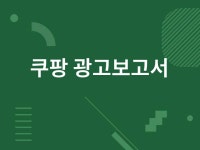 쿠팡 광고보고서 최적화 및 효율화 프로그램 - 크몽