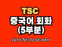 TSC 중국어 회화시험 5부분 집중 공략 100문제. - 크몽