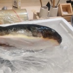 스시오마카세 참치 복어 / 윤참치 - 숨고, 숨은고수 스시오마카세참치 복어