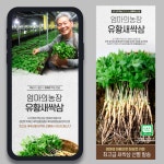 엄마의농장 새싹삼 상세페이지 제작 / 디자인메이트 - 숨고, 숨은고수 엄마의농장 새싹삼 상세페이지 제작