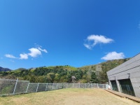 퍼펙트독 반려견 교육센터 / 김하얀 - 숨고, 숨은고수 퍼펙트독 반려견 교육센터