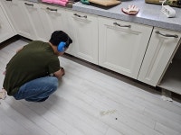 거제동 롯데 캐슬 아파트 누수공사 / 부산 화명동 누수 탐지 시공 전문 업체 가야시유 - 숨고, 숨은고수 거제동 롯데 캐슬 아파트 누수공사