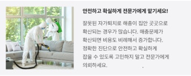 해충방역 / 햇볕의방역&청소 - 숨고, 숨은고수 해충방역