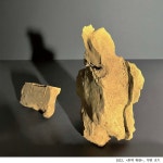 입체 / 이주하 - 숨고, 숨은고수 입체