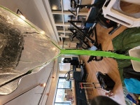 강동구 고덕로 피티센터 GYM 천정형 4WAY 작업 / 에어컨청소 루나에어시스템 - 숨고, 숨은고수 강동구 고덕로 피티센터 GYM 천정형 4WAY 작업