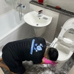 대전 천동 리더스시티 입주청소 / 클린버디 - 숨고, 숨은고수 대전 천동 리더스시티 입주청소