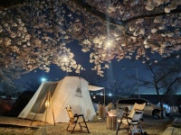 경남 전체 지역 자동차 썬팅 전문가 포트폴리오 - 숨고, 숨은고수  경남 전체 지역 자동차 썬팅 전문가 포트폴리오