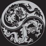 성인태권도 지도 / 대한미르태권도 - 숨고, 숨은고수 성인태권도 지도