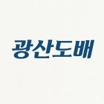 화정동 삼익맨션2차 삼삼엠투(임대서비스)곰팡이 벽면 한면 시공 / 광산도배 - 숨고, 숨은고수 화정동 삼익맨션2차 삼삼엠투(임대서비스)곰팡이... 