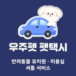 우주펫 펫택시 - 유치원/미용실 셔틀 고수의 반려동물 택시/픽업 서비스, 서울 강남구 - 숨고, 숨은고수 우주펫 펫택시 - 유치원/미용실 셔틀 고수의... 