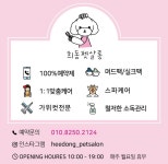 인녕하세요 희동펫살롱입니다 / 김주희 - 숨고, 숨은고수 인녕하세요 희동펫살롱입니다