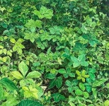 그림풍경화실 고수의 미술회화 레슨 서비스, 경기 오산시 - 숨고, 숨은고수 그림풍경화실 고수의 미술회화 레슨 서비스, 경기 오산시