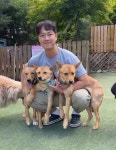 이태동 고수의 반려동물관리 서비스, 경기 성남시 - 숨고, 숨은고수 이태동 고수의 반려동물관리 서비스, 경기 성남시