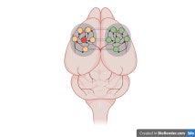 포스텍대학원생 고수의 대학원입시 컨설팅 서비스, 경북 포항시 - 숨고, 숨은고수 포스텍대학원생 고수의 대학원입시 컨설팅 서비스, 경북 포항시