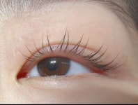 채움브로우속눈썹펌 &슈가링왁싱 / 진접채움브로우 - 숨고, 숨은고수 채움브로우속눈썹펌 &슈가링왁싱