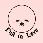 서울 마포구 지역 펫/반려동물 전문가 포트폴리오 - 숨고, 숨은고수 서울 마포구 지역 펫/반려동물 전문가 포트폴리오