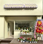 인천 전체 지역 플라워/꽃꽂이 레슨 전문가 포트폴리오 - 숨고, 숨은고수  인천 전체 지역 플라워/꽃꽂이 레슨 전문가 포트폴리오