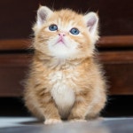 경기 용인시 수지구 지역 전문가들의 작업물 한 번에 비교하기 - 숨고, 숨은고수 경기 용인시 수지구 지역 전문가들의 작업물 한 번에 비교하기