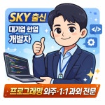 경기 성남시 분당구 지역 개발 외주 전문가 포트폴리오 - 숨고, 숨은고수 경기 성남시 분당구 지역 개발 외주 전문가 포트폴리오