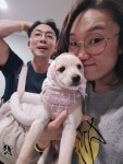 대구 북구 지역 펫/반려동물 전문가 포트폴리오 - 숨고, 숨은고수 대구 북구 지역 펫/반려동물 전문가 포트폴리오