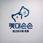 최신시설 / 펫대손손 애견유치원&호텔 - 숨고, 숨은고수 최신시설