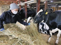 生乳値上げも「不十分」　酪農家、コスト増に追いつかず：中日新聞Web