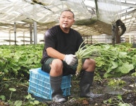 本ワサビの魅力、ＳＮＳ通じ国内外に　安曇野「藤屋わさび農園」望月啓市さん：中日新聞Web