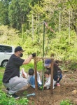 刈安林道 再び桜色に あわら 家族連れら苗木植樹:日刊県民福井Web