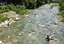 決めた！アユ開幕ダッシュ　岐阜県矢作川漁協・恵那市の上村川：中日スポーツ・東京中日スポーツ 決めた！アユ開幕ダッシュ... 