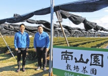 抹茶支える「預かり茶園」　安城の南山園が農家から受け継ぐ：中日新聞Web